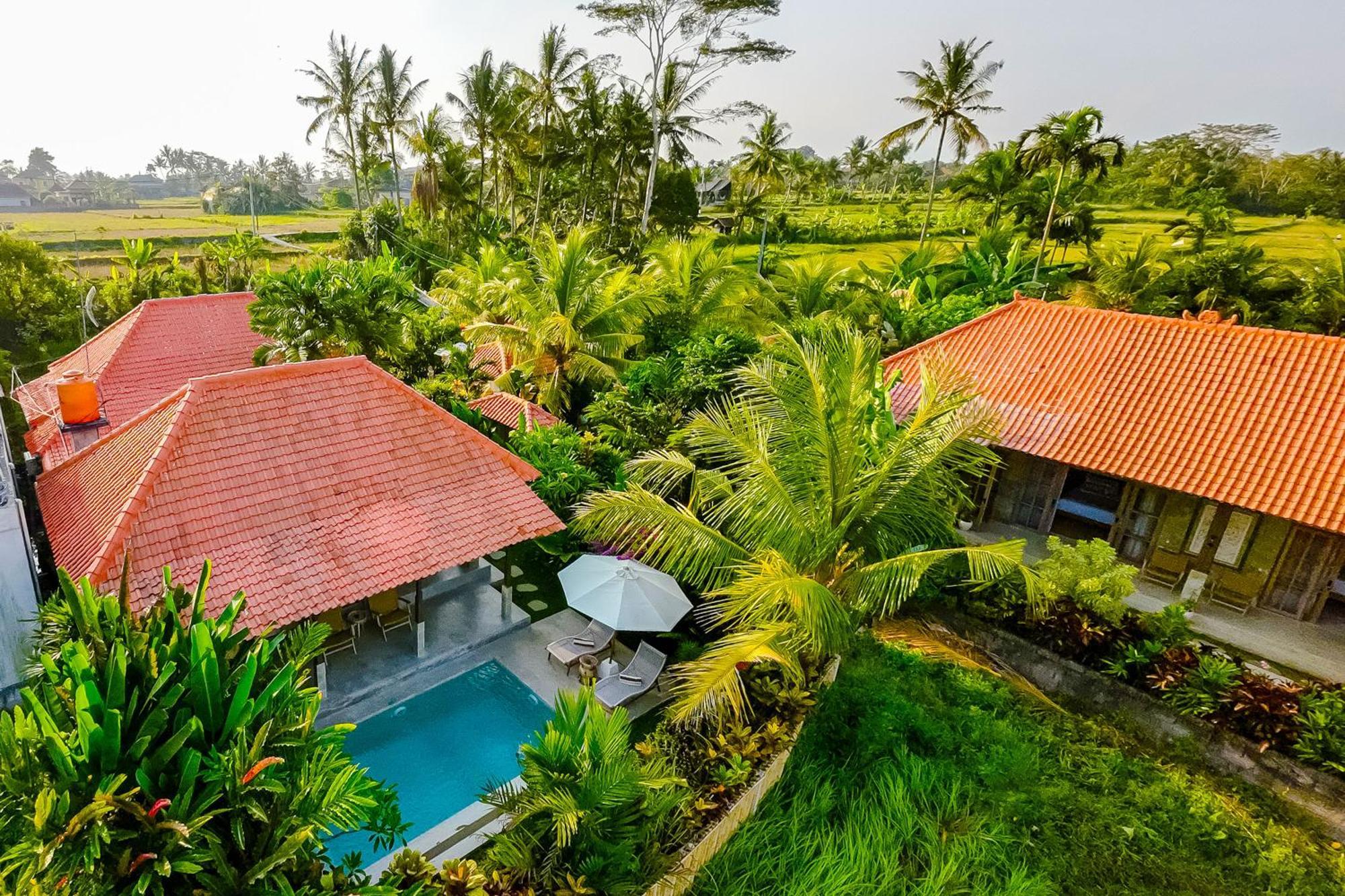 Nyaman Villas By Evdekimi Ubud Eksteriør bilde