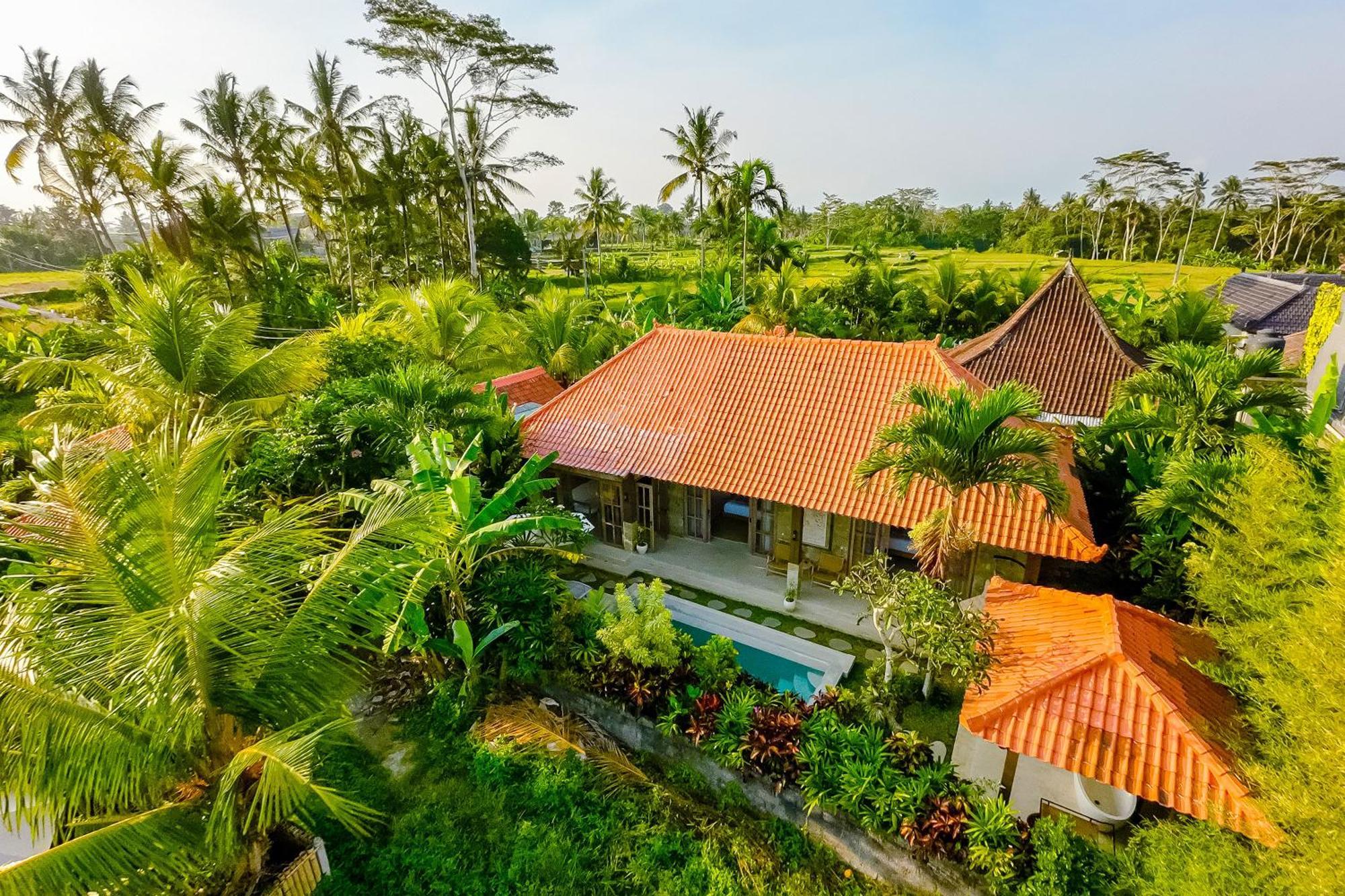 Nyaman Villas By Evdekimi Ubud Eksteriør bilde